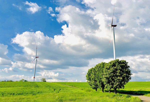 L'AZERBAÏDJAN, LE KAZAKHSTAN ET L'OUZBÉKISTAN SIGNERONT UN ACCORD SUR LES ÉNERGIES VERTES DANS LE CADRE DE LA COP29