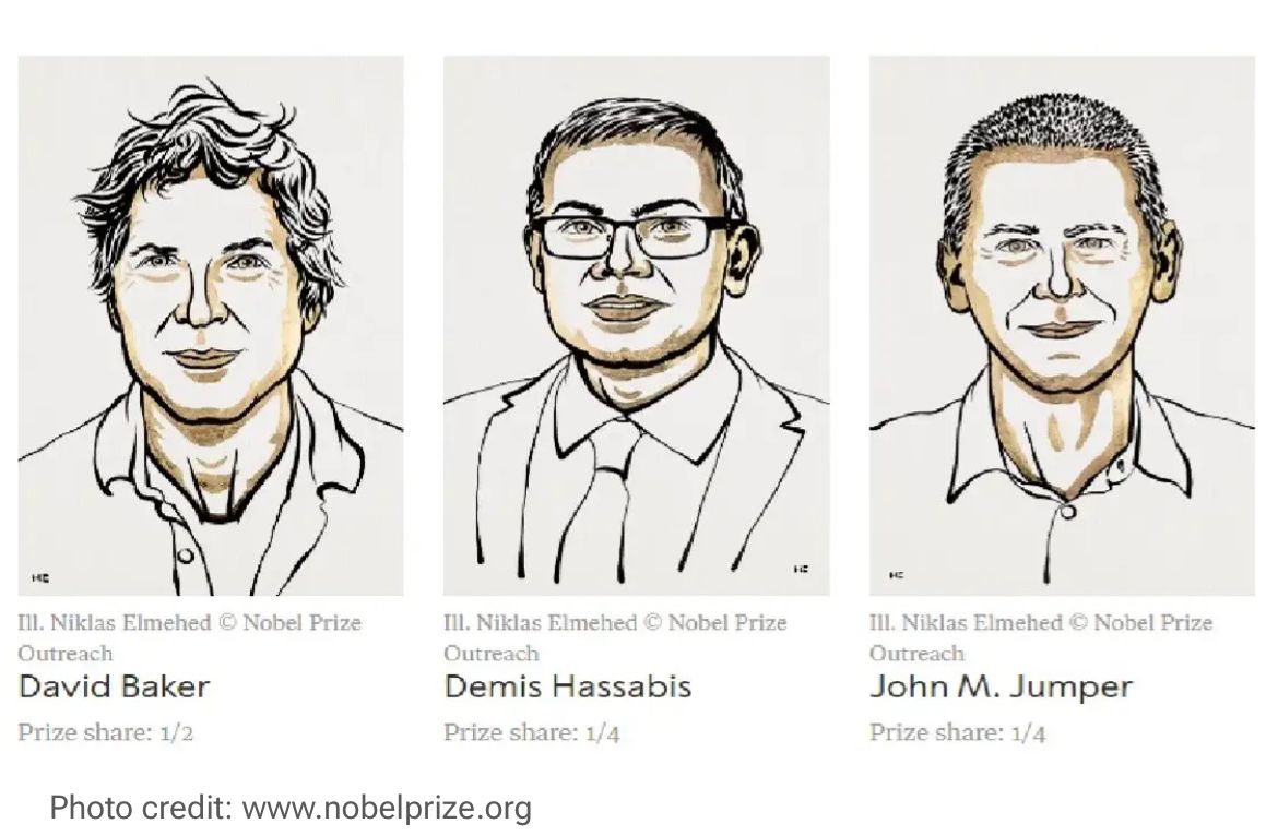 DAVID BAKER, DEMIS HASSABIS ET JOHN JUMPER REMPORTENT LE PRIX NOBEL DE CHIMIE 2024