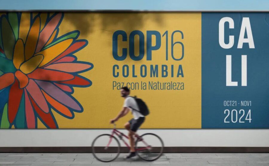 LE KIRGHIZISTAN PARTICIPE À LA 16E CONFÉRENCE DES PARTIES À LA CONVENTION DES NATIONS UNIES SUR LA BIODIVERSITÉ EN COLOMBIE