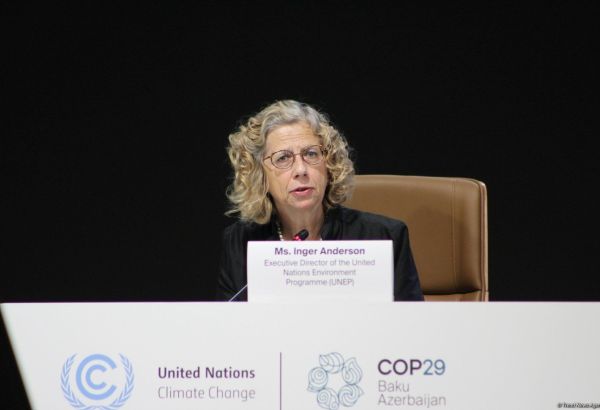 LA RÉDUCTION DES ÉMISSIONS EST EN VUE D'ICI 2030, DÉCLARE LA DIRECTRICE DU PROGRAMME DES NATIONS UNIES POUR L'ENVIRONNEMENT