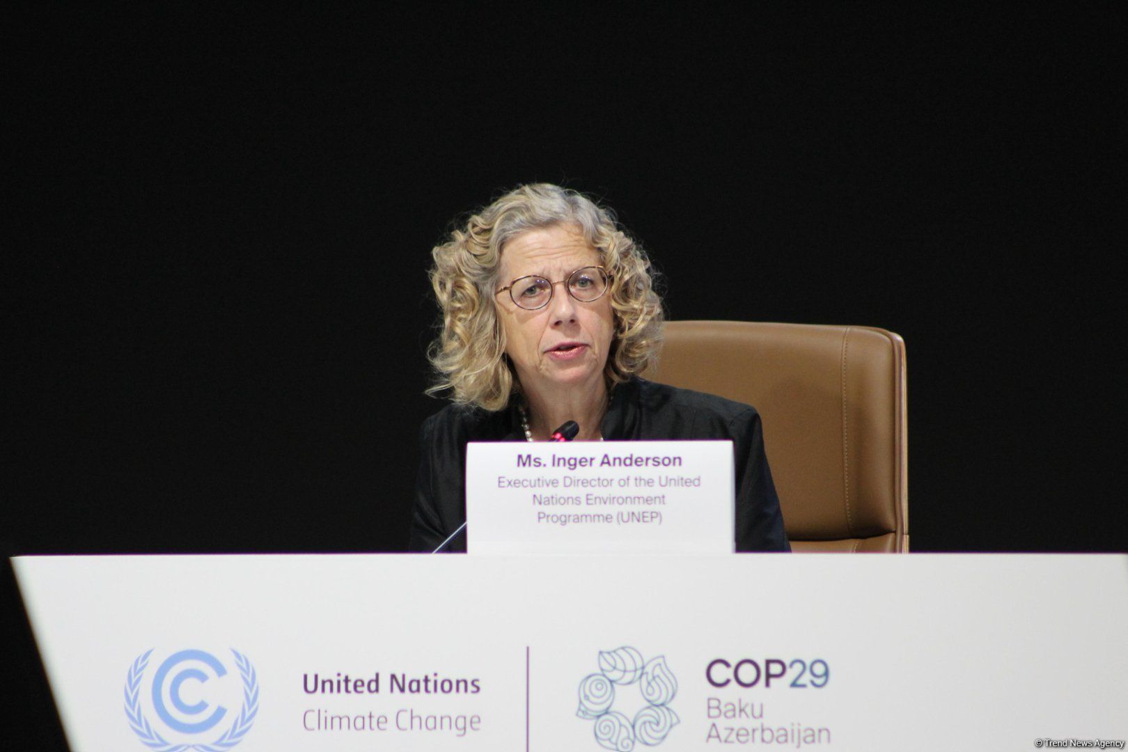 LA RÉDUCTION DES ÉMISSIONS EST EN VUE D'ICI 2030, DÉCLARE LA DIRECTRICE DU PROGRAMME DES NATIONS UNIES POUR L'ENVIRONNEMENT