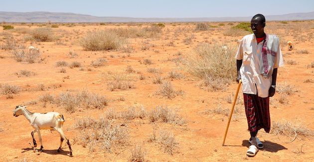 LA CRISE ALIMENTAIRE MONDIALE S'AGGRAVE ALORS QUE LES GRANDES NATIONS LÉSINENT SUR L'AIDE