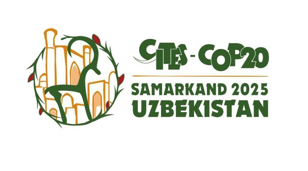 LE LOGO DE LA COP20 S'APPUIE SUR LE PATRIMOINE NATUREL ET CULTUREL DE L'OUZBÉKISTAN