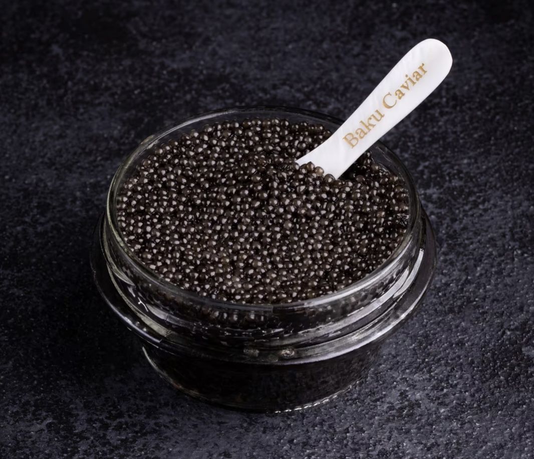 RENAISSANCE DE LA PRODUCTION DE CAVIAR EN AZERBAÏDJAN